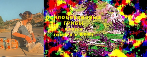 дмт Ветлуга